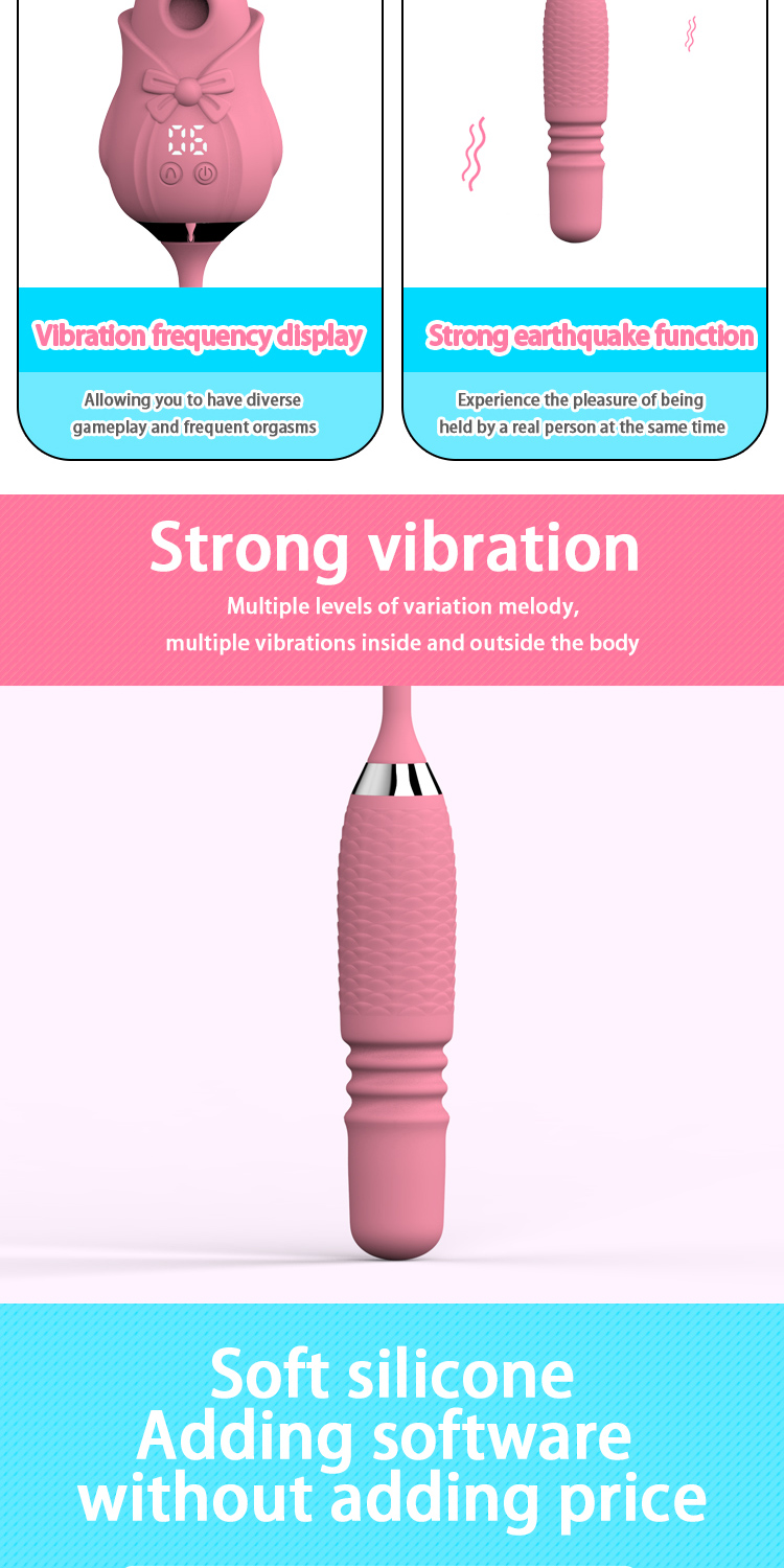 sucking vibrator