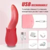 Dildo Vibrator